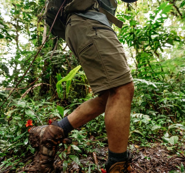 Men's Hiking Shorts